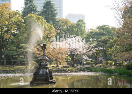 Feder Szene in Hibiya Park, Tokio, Tokyo, Japan Stockfoto