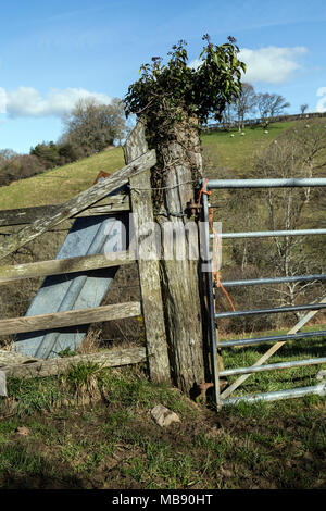 Eine schwenkbare Schranke verwendet, um eine Öffnung in der Wand, Zaun oder Hecke zu schließen. Barriere, Wicket, wicket Gate, lychgate, 5-Tor gesperrt, Drehkreuz. Gateway, Tür Stockfoto