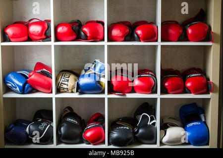 Verschiedenen bunten Boxhandschuhe auf Regalen in einem Boxkampf Gymnasium abgelegt. Stockfoto