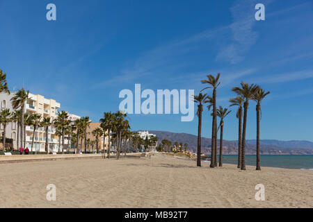 Oropesa del Mar Beach Costa de Almería, Andalusien Spanien mit Palmen Stockfoto