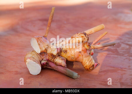 Galgant Wurzel von oben auf konkreten Hintergrund. Kulinarischen asiatischen Kraut. Stockfoto