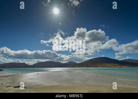 Junge Junge, Muscheln sammeln auf einem sehr niedrigen Spring Tide in der Nähe von Luskentire auf der Isle of Harris, Schottland, an einem sonnigen Tag im Frühling. Stockfoto