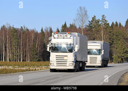 Zwei weiße semi Trucks Platoon auf der Autobahn an einem schönen Frühlingstag. Stockfoto