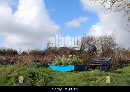 Blaues Boot gefüllt mit Tulpen, Frühling Stockfoto