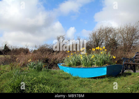 Blaues Boot gefüllt mit Tulpen, Frühling Stockfoto