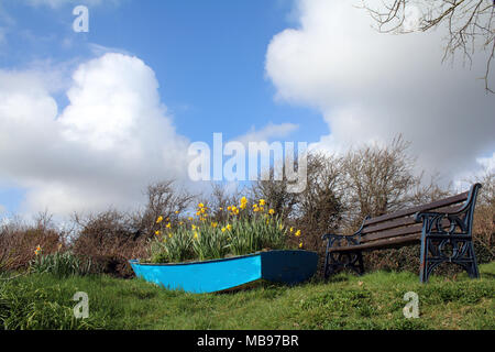 Blaues Boot gefüllt mit Tulpen, Frühling Stockfoto