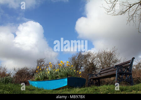 Blaues Boot gefüllt mit Tulpen, Frühling Stockfoto