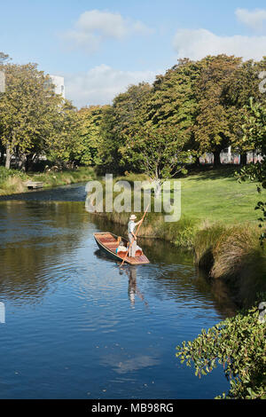 Stechkahn fahren am Fluss Avon, Christchurch, Neuseeland Stockfoto