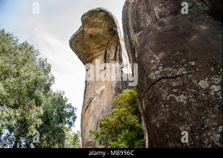 Cobra Haube Cave Rock im Palast Boulder Gärten in Sigiriya, Dambulla, Sri Lanka. Bunte Granit Felsen steigt über die Baumkronen, blaue Wolke Himmel Stockfoto