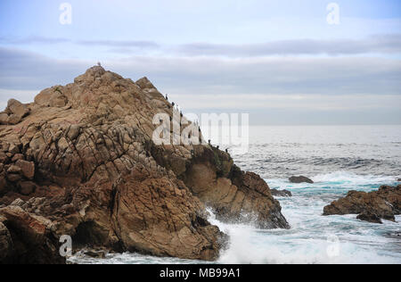 Double-Crested Kormorane sonnen auf einer ungewöhnlichen geologischen Felsformationen, verträumte Seenlandschaft, Aquamarin ocean, weiß schäumende Brandung und Moody sky Stockfoto