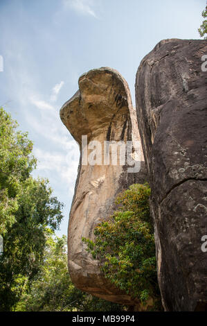 Cobra Haube Cave Rock im Palast Boulder Gärten in Sigiriya, zentrale Provinz, Sri Lanka. Bunte Granit Felsen steigt über die baumkronen Stockfoto