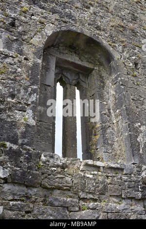 Gewölbte mittelalterliche Fenster in der Mauer der Ruinen von Clare Abtei in Irland. Stockfoto