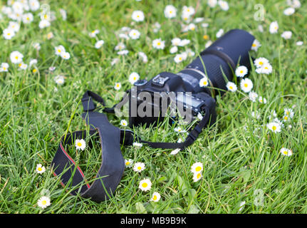 Unscharfes Bild. Professionelle Kamera im Gras und Blumen umgeben. Stockfoto