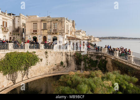 Fonte Aretusa - Springbrunnen von Arethusa - in Ortigia, Siracusa, Sizilien, Italien. Stockfoto