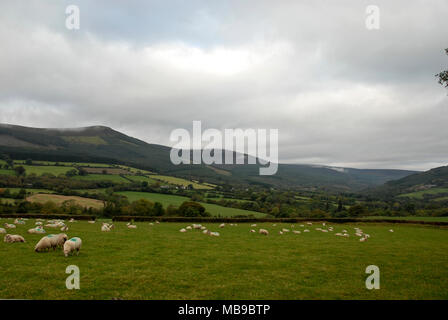 Abgelegene Landschaften im Wicklow-Nationalpark, Irland. Stockfoto