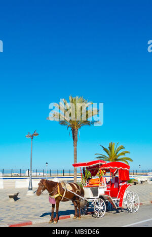 Caleche, Kutsche, Avenue Moulay Hassan Ben Mahdi, Assilah, nördliche Marokko, Afrika Stockfoto