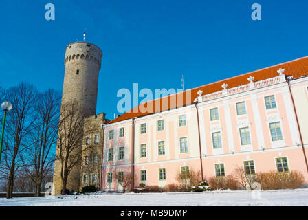 Pikk Hermann, Riigikogu der Nationalversammlung, dem Domberg, Tallinn, Estland Stockfoto