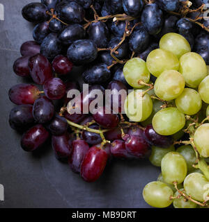 Schwarze kernlose Trauben, weisse kernlose Trauben und Roten kernlose Trauben auf dunklem Schiefer Hintergrund, Ansicht von oben. Stockfoto