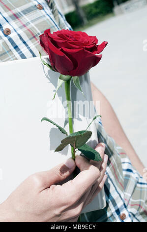 Nahaufnahme von einem jungen Mann im Freien mit einer roten Rose und ein Buch für Sant Jordi, die Katalanische Namen für Saint Georges Tag, Wenn es ist Tradition, Rosen zu geben Stockfoto