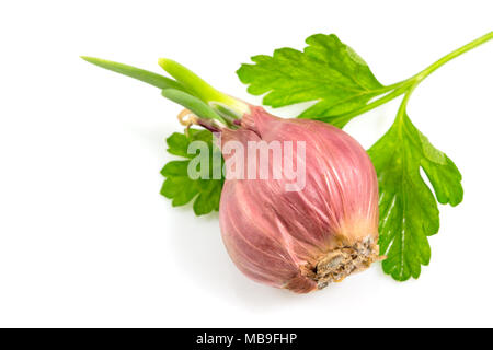 Rote Zwiebeln mit Petersilie auf weißem Hintergrund, Ansicht von oben mit Freistellungspfad Stockfoto