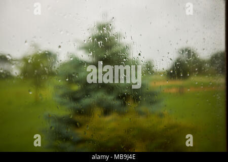 Unscharfer Blick auf grüne Bäume und die Landschaft durch die Feuchten Glas ein Fenster mit Regentropfen Stockfoto