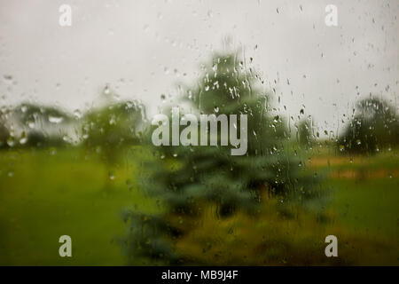 Ausblick auf die Landschaft mit Bäumen im Regen durch ein Glasfenster mit Regentropfen und Bäche von Wasser Stockfoto