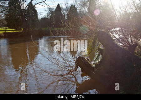 Monkey Island an der Themse, Bray, Großbritannien Stockfoto