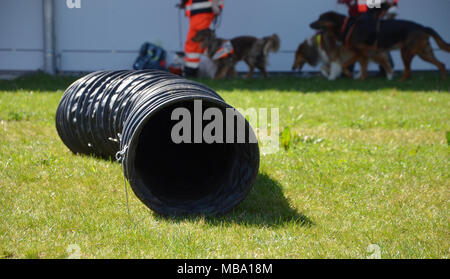 Pfaffenhofen (Roth), Deutschland - April 8th, 2018: öffentliche Demonstration von canine Rettungseinheit Praxis in Pfaffenhofen mit Hunden im Hintergrund Credit: yato Rurouni/Alamy leben Nachrichten Stockfoto