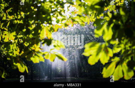 Berlin, Deutschland. 23 Sep, 2016. Sonnenlicht scheint durch die Blätter der Bäume im Großen Tiergarten in Berlin, Deutschland, 23.09.2016. | Verwendung der weltweiten Kredit: dpa/Alamy leben Nachrichten Stockfoto