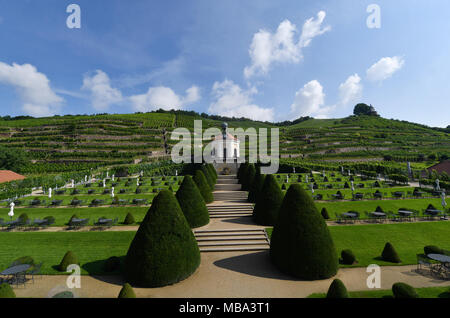 Radebeul, Deutschland. 27. Juli, 2017. Das kleine Lustschloss (lit. pleasure Palace) Belvedere abgebildet auf 27.07.2017 in Radebeul, Deutschland, in die Weinberge von Schloss Wackerbarth. Foto: Jens Kalaene/dpa-Zentralbild/ZB | Verwendung weltweit/dpa/Alamy leben Nachrichten Stockfoto