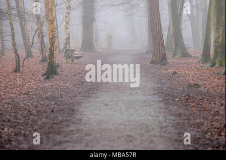 Thorndon Country Park, Brentwood, Essex, UK. 9. April 2018. 9. April 2018 einen schweren Nebel kam auf Thorndon Country Park, Brentwood, Essex am Nachmittag. Der Park ist beliebt bei den lokalen Hund Spaziergänger und Wanderer. Credit Ian Davidson/Alamy leben Nachrichten Stockfoto