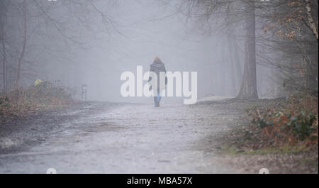 Thorndon Country Park, Brentwood, Essex, UK. 9. April 2018. 9. April 2018 einen schweren Nebel kam auf Thorndon Country Park, Brentwood, Essex am Nachmittag. Der Park ist beliebt bei den lokalen Hund Spaziergänger und Wanderer. Credit Ian Davidson/Alamy leben Nachrichten Stockfoto