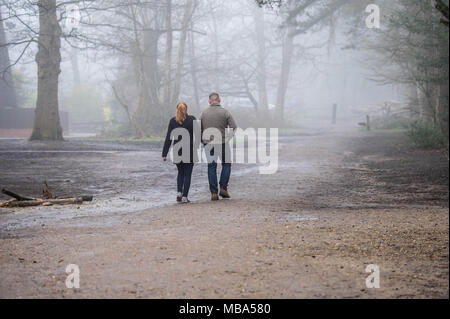 Thorndon Country Park, Brentwood, Essex, UK. 9. April 2018. 9. April 2018 einen schweren Nebel kam auf Thorndon Country Park, Brentwood, Essex am Nachmittag. Der Park ist beliebt bei den lokalen Hund Spaziergänger und Wanderer. Credit Ian Davidson/Alamy leben Nachrichten Stockfoto