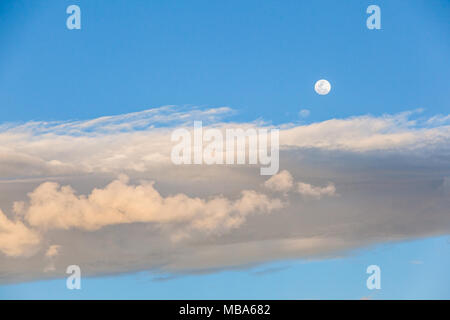 Fast vollen Mond erscheint am frühen Nachmittag anscheinend über Wolken Stockfoto