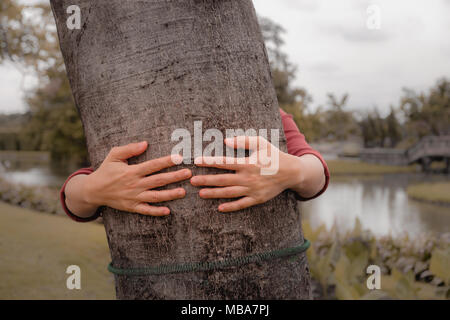 Hände, die rund um den Stamm eines Baumes mit Liebe. Stockfoto