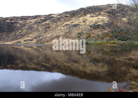 Die Hügel rund um den See bei Gougane Barra, Irland in den noch dunklen Wasser des Sees spiegelt. Ein beliebtes Ziel für Touristen und Urlauber. Stockfoto