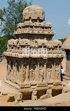 Äußere Ansicht der Pancha Rathas, (auch als fünf Rathas oder Pandava Rathas) Mahabalipuram, Tamil Nadu, Indien. Es ist ein Beispiel der monolithischen Indischen roc Stockfoto