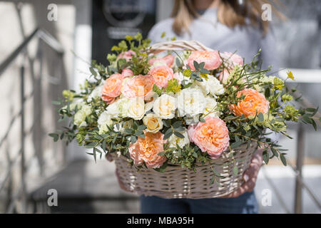 Weidenkorb mit Blumen in den Händen der Frauen. Schöne Blume Komposition. Floristik Konzept. Frühling Farben Stockfoto