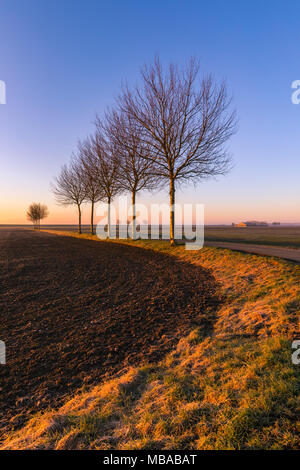 Sonnenaufgang in der Johannes Kerkhovenpolder im nördlichen Teil der Provinz Groningen, Niederlande. Stockfoto