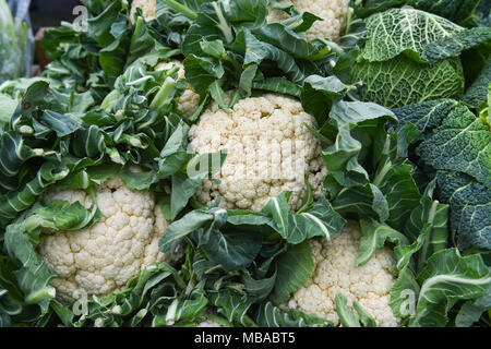 Blumenkohl an der Sussex Bauer mobile Farm Shop neben dem Pfefferstreuer im Queens Park in Brighton. Stockfoto