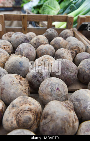 Rote Beete zum Verkauf an der Sussex Bauer mobile Farm Shop neben dem Pfefferstreuer im Queens Park in Brighton. Stockfoto