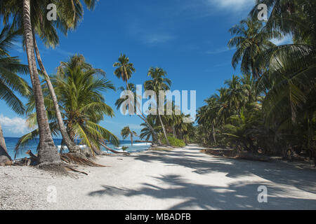Tropischer Strand mit Kokos Palme im sonnigen Tag Stockfoto