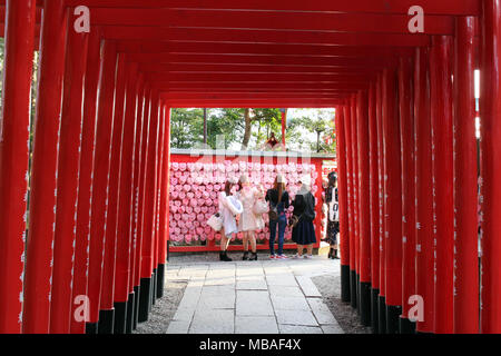 Die Linie der Shintō-Tore, und Mädchen unter selfie am Ende des Tunnels. In Inuyama Schrein, Japan - Februar 2018 getroffen Stockfoto