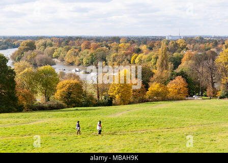 Mit Blick auf die Themse in einem grünen Park und Bäume im Herbst in Richmond, Surrey, Großbritannien Stockfoto