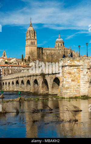 Römische Brücke mit dem Dom im Hintergrund, Salamanca, Kastilien und Leon, Spanien Stockfoto