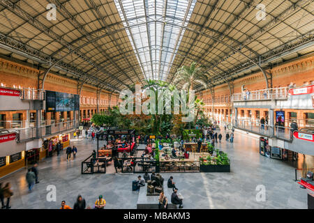 Innenraum Plaza im alten Bahnhof Atocha, Madrid, Gemeinschaft von Madrid, Spanien Stockfoto