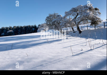 Winter über Romanno Brücke in den Scottish Borders Stockfoto