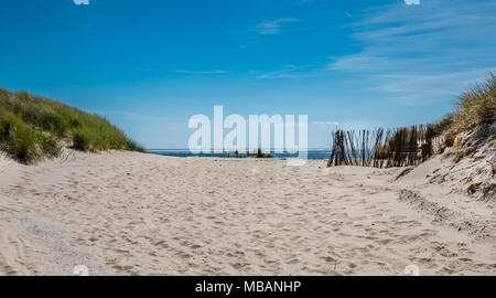 Blick über die Dünen von Ameland, Niederlande Stockfoto