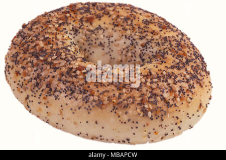 Eine einzelne gebackene alles Bagel auf einem weißen Hintergrund. Stockfoto