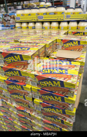 Costco Wholesale Lagerverkauf in Massachusetts, USA Stockfoto